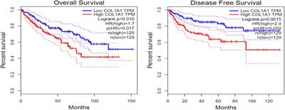 What Mediates Fibrosis in the Tumor Microenvironment of Clear Renal Cell Carcinoma